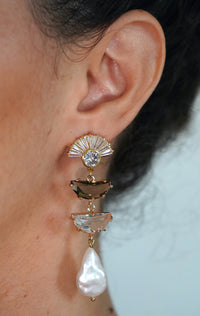 Clear & Brown Crystals Long Earrings