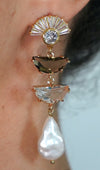 Clear & Brown Crystals Long Earrings