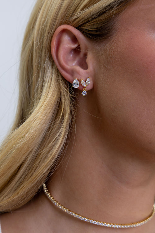 Bella Cz Stud